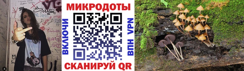 Купить  Ликино-Дулёво  Псилоцибиновые грибы мухоморы 